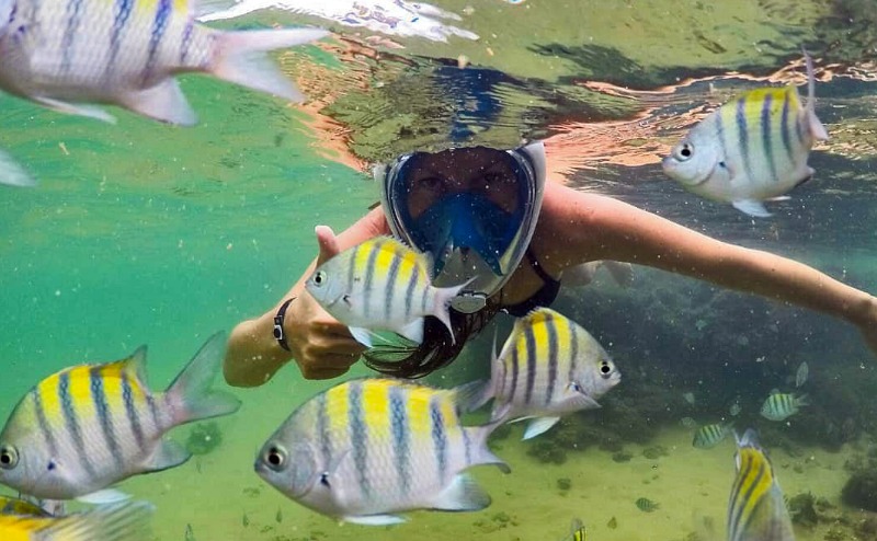 Família fazendo snorkeling nas piscinas naturais rasas da Praia do Forte